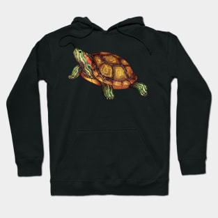 Cozy Red-Eared Slider Hoodie